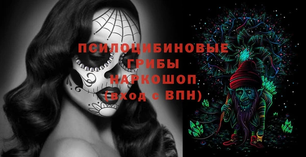 дживик Пестово