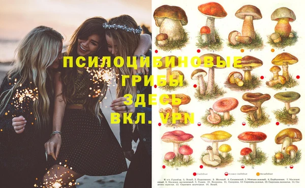 PSILOCYBIN Ельня