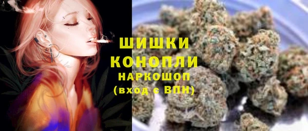 эйфоретик Пересвет