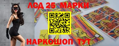 спиды Кандалакша