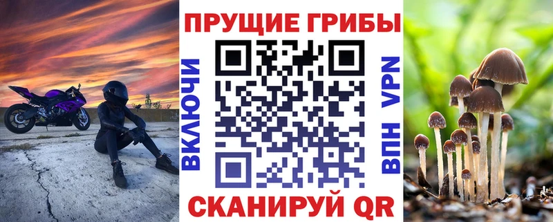 купить  сайты  Полевской  Псилоцибиновые грибы Magic Shrooms 