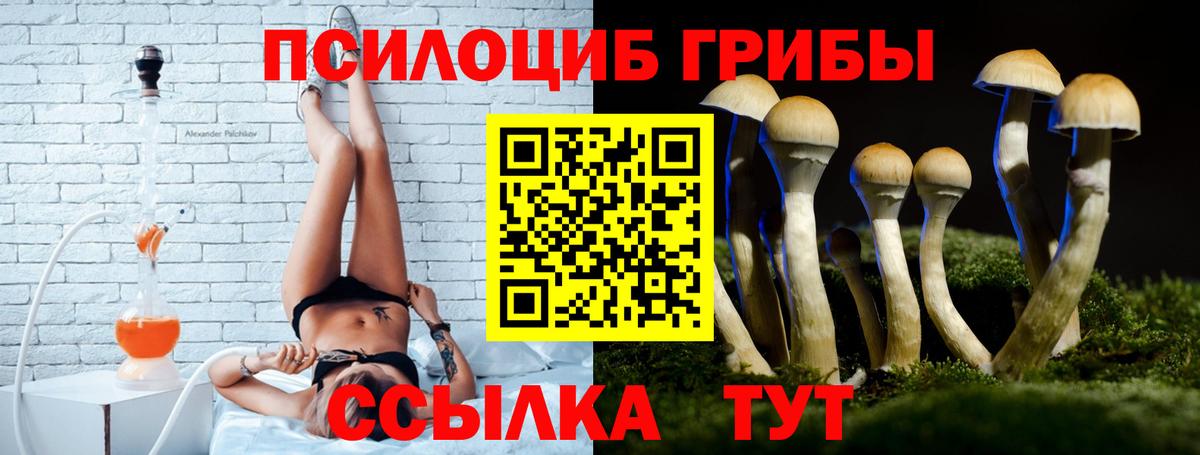 Галлюциногенные грибы GOLDEN TEACHER Полевской